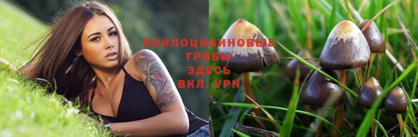 мяу мяу кристалл Пересвет